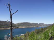 Mutze_Harley_USA_2007_1366