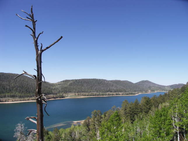 Mutze_Harley_USA_2007_1366