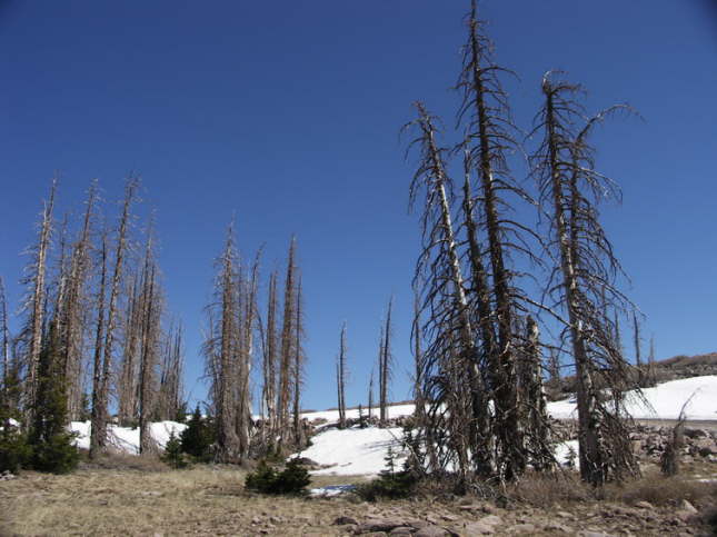 Mutze_Harley_USA_2007_1380