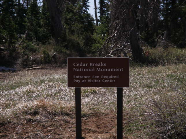 Mutze_Harley_USA_2007_1391