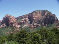 Mutze_Harley_USA_2007_1417