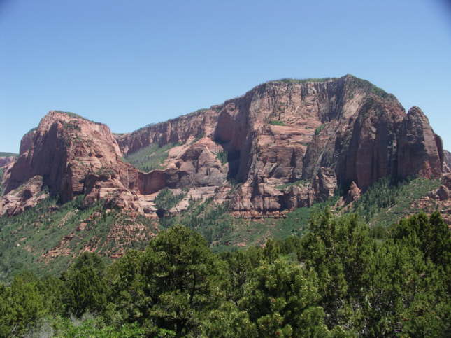 Mutze_Harley_USA_2007_1417