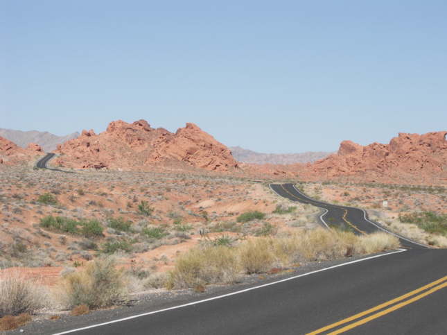 Mutze_Harley_USA_2007_1436