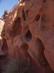 Mutze_Harley_USA_2007_1440