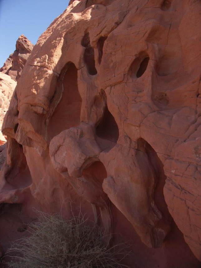 Mutze_Harley_USA_2007_1440