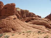 Mutze_Harley_USA_2007_1486