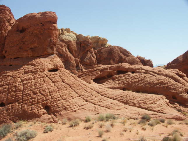 Mutze_Harley_USA_2007_1486