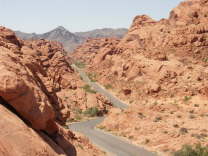 Mutze_Harley_USA_2007_1487