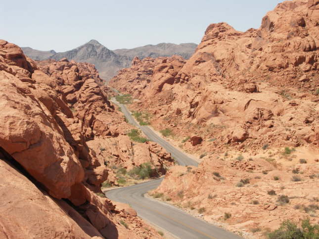 Mutze_Harley_USA_2007_1487