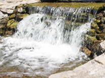 Mutze_Harley_USA_2007_1501